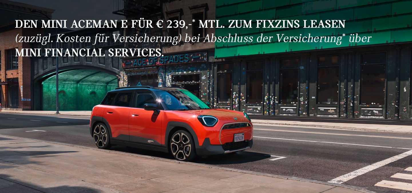 DER VOLLELEKTRISCHE MINI ACEMAN E